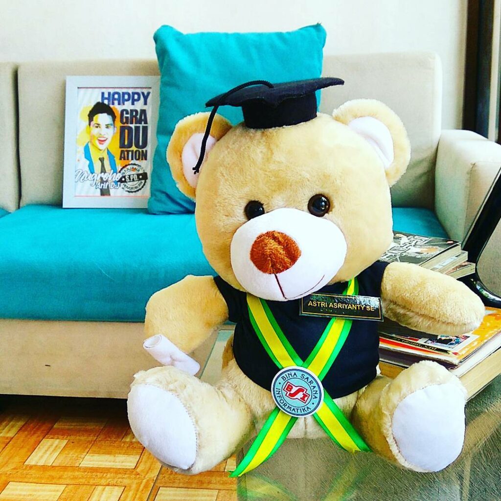 Jual Boneka Wisuda Teddy Bear Bianca Murah Hemat Kado Wisudaku