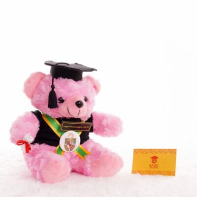 Jual Boneka Wisuda Teddy Bear M pink Teddy Bear Pink Soft