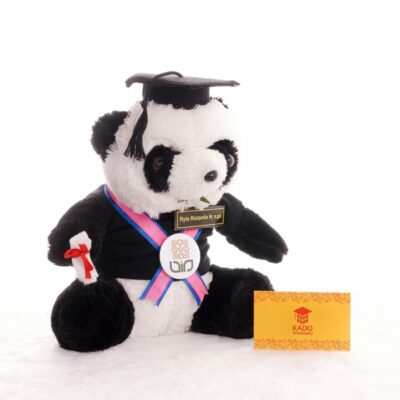 Jual Boneka Wisuda Panda