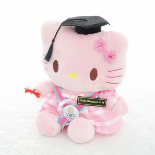 Jual Boneka Wisuda Hello Kitty Pink Hello Kitty Wisuda