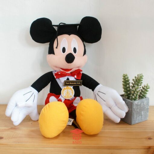 jual Boneka Wisuda Mickey Mouse jogja 085878749975