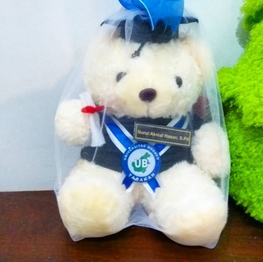  Teddy  Bear  Boneka  Wisuda  Borneo Kado Wisudaku