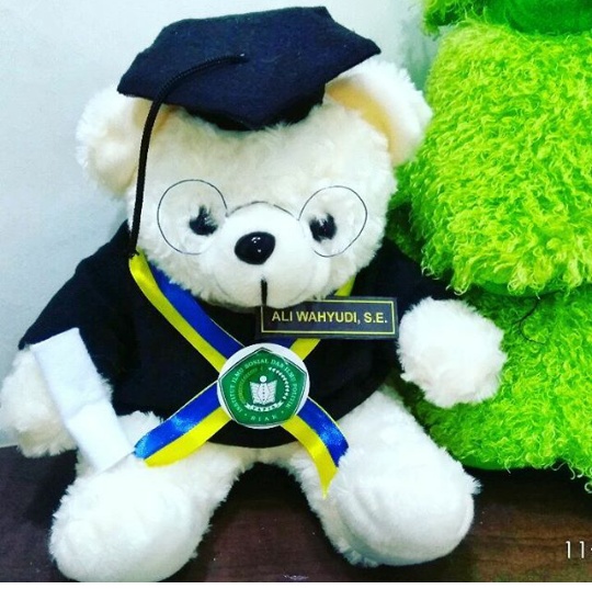  Teddy  Bear  Boneka  Wisuda IISIP YAPIS BIAK Kado Wisudaku