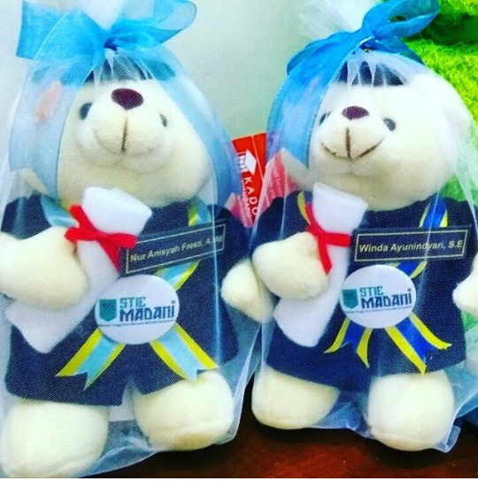  Teddy  Bear  Boneka  Wisuda  STIE Madani Balikpapan Kado 