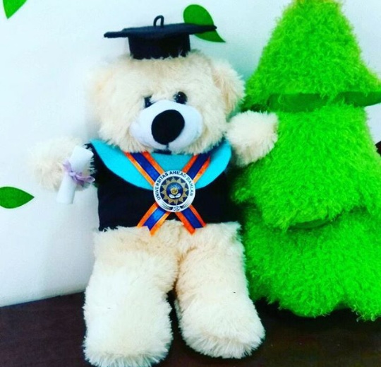  Teddy  Bear  Berdiri Boneka  Wisuda  UAD Kado Wisudaku