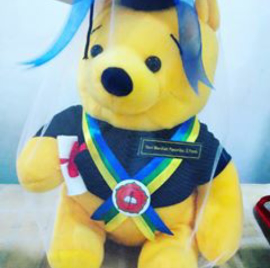 Boneka Pooh Pooh Boneka Wisuda USD Kado Wisudaku