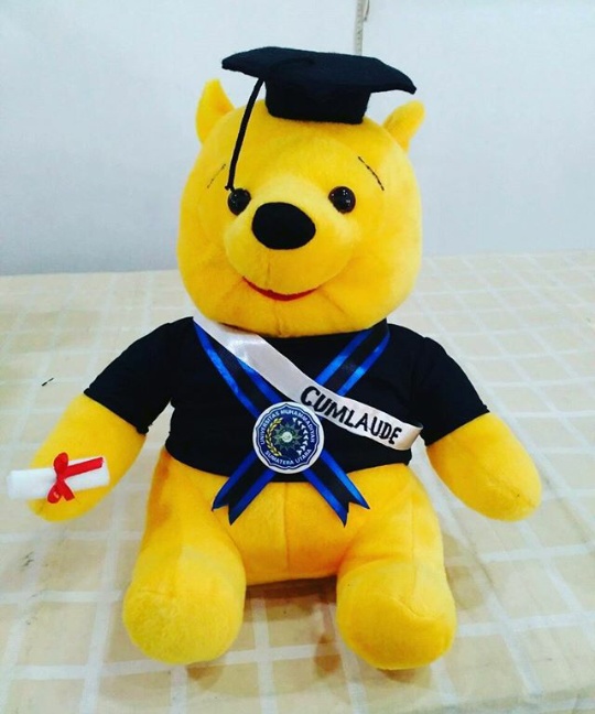 Boneka Pooh Winnie The Pooh Boneka Wisuda UMSU Kado Wisudaku