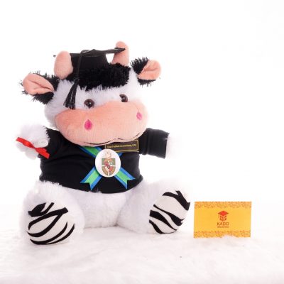  Boneka  Flanel  Profesi Doktor Custom Kado Wisudaku