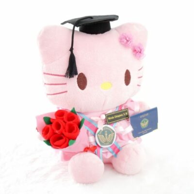 Jual Boneka Wisuda Hello Kitty Pink Buket Bunga