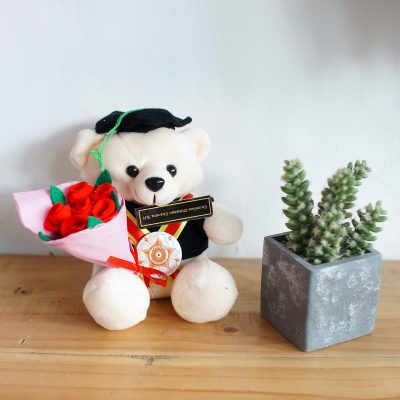 Kado Wisudaku Toko Online Kado Boneka  Wisuda 