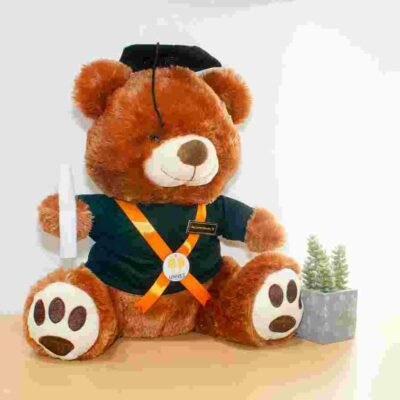 Boneka Wisuda Jogja Teddy Bear Coklat Large 0858 78749975