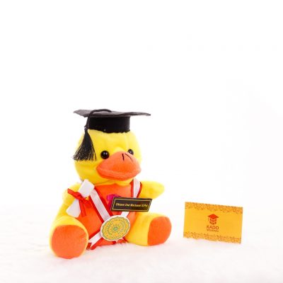 Rekomendasi Harga Boneka  Wisuda  Custom Kado Wisudaku