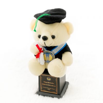  Boneka  Wisuda  Teddy  Bear  SMA Cewek Kado Wisudaku