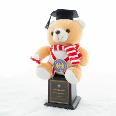 Piala Boneka Wisuda Teddy Bear Syall