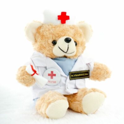 Boneka Profesi Teddy Bear Nurse