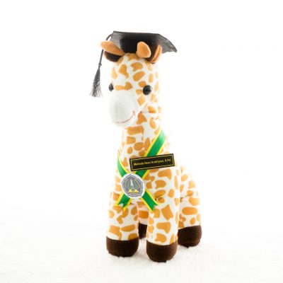 Rekomendasi Harga Boneka Wisuda Custom Kado Wisudaku