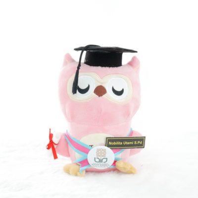 Rekomendasi Harga Boneka  Wisuda  Custom Kado Wisudaku