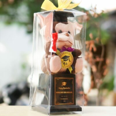 Piala Boneka Wisuda Monyet Box Mika