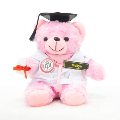 Boneka Teddy Bear Pink Profesi Dokter