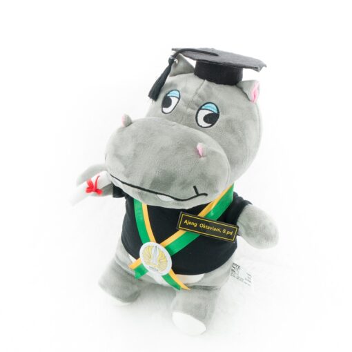 Rekomendasi Harga Boneka Wisuda Custom - Kado Wisudaku