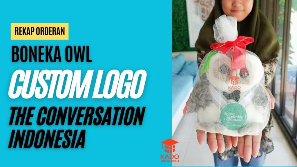 35 Pcs Boneka Owl The Conversation Indonesia Cover