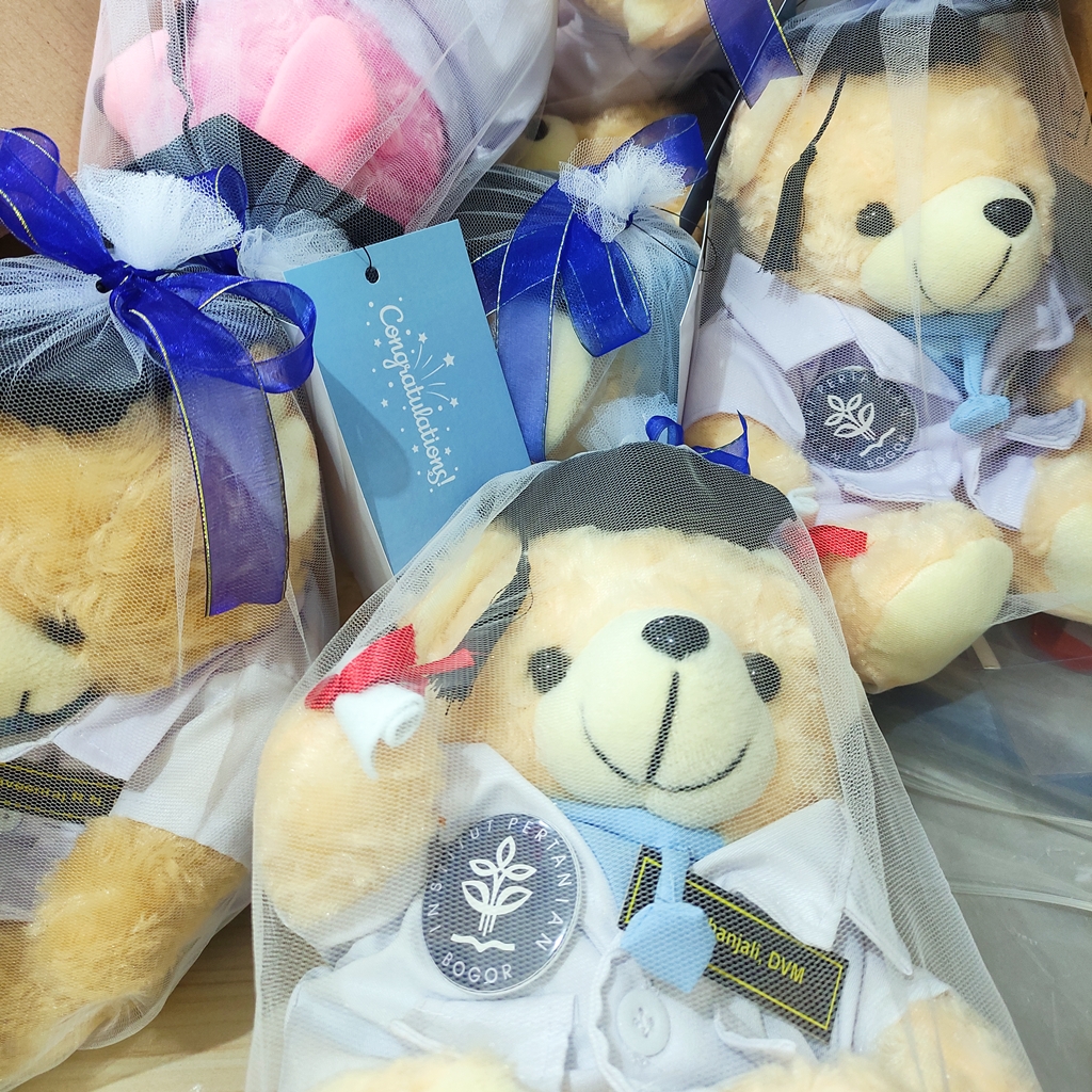 Boneka Wisuda Dokter Hewan (DVM) IPB Produk Detail